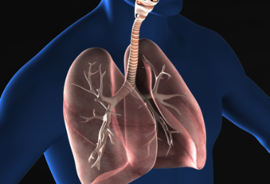 呼吸器診療の充実